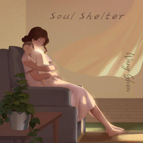 Soul Shelter album art