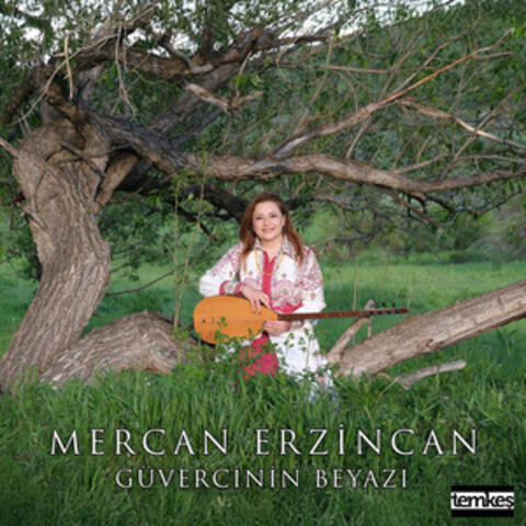 Güvercinin Beyazı album art