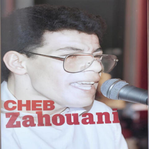 Ya Zinat Wajba album art