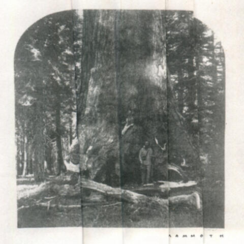 Mammoth album art