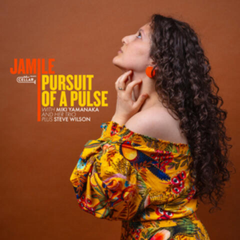 Pursuit of a Pulse album art
