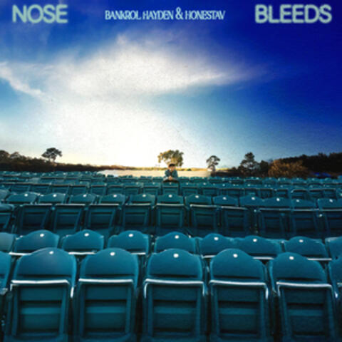NoseBleeds album art