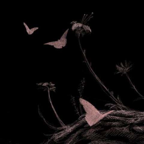 Stagno album art