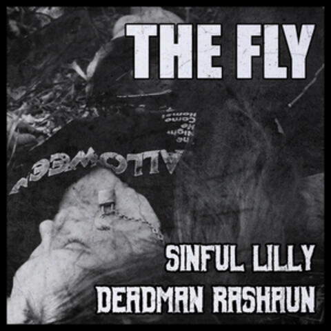 The Fly album art