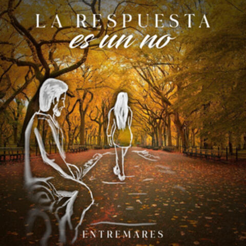 La respuesta es un no album art