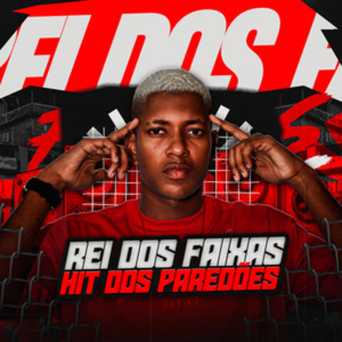 Reis Dos Faixas - Hit Dos Paredões album art