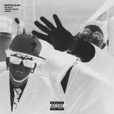 PARTICULAR album art