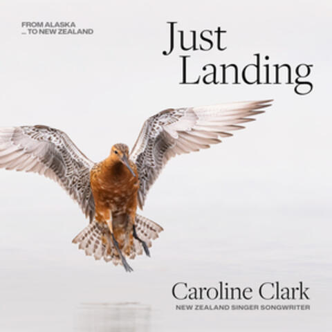 Just Landing album art