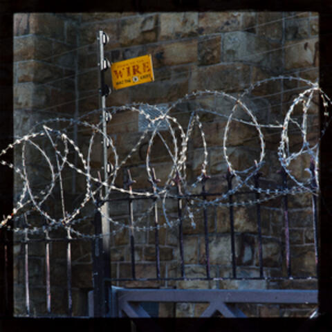 Down to the Wire album art