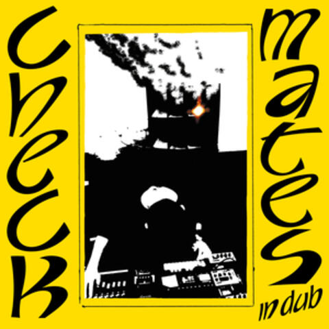 Checkmates In Dub album art