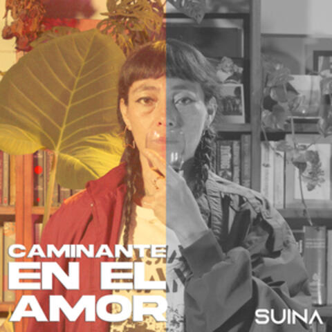 Caminante En El Amor album art