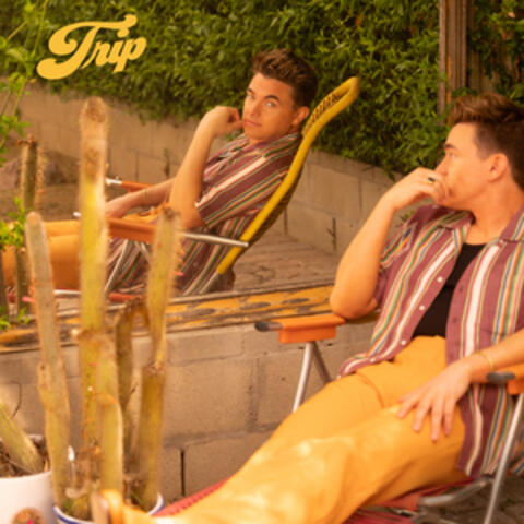 Trip album art