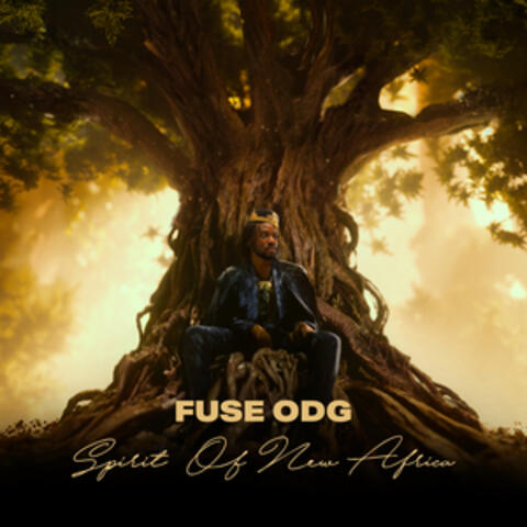 Spirit of New Africa album art