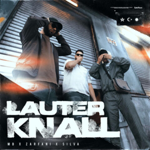 LAUTER KNALL album art