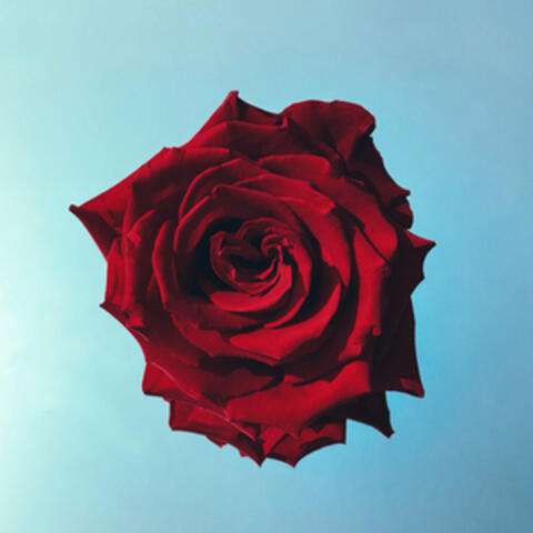 Flutuar album art