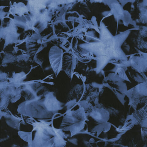 Hole album art