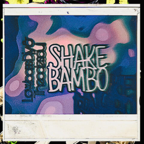 Shake Bambo album art