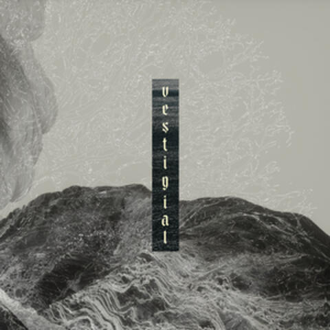 Descending Vastness album art
