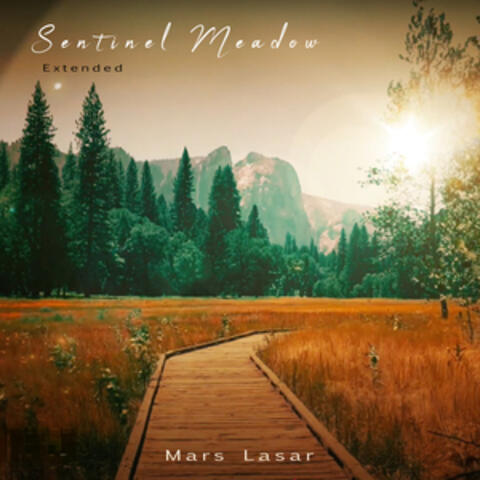 Sentinel Meadow album art