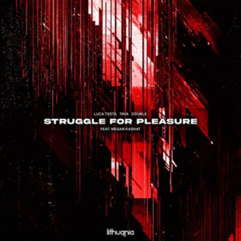 Struggle For Pleasure album art