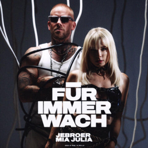 Für Immer Wach album art