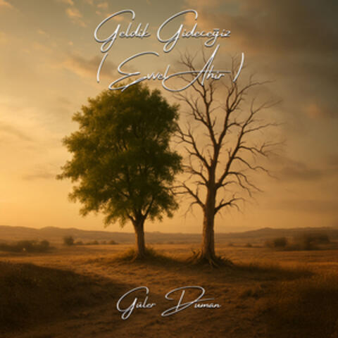 Geldik Gideceğiz / Evvel Ahir album art
