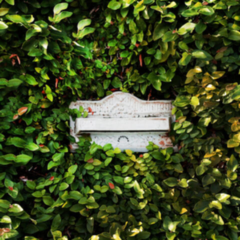 Notas Em Cartas album art