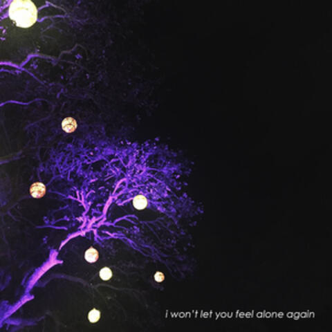 i won't let you feel alone again album art