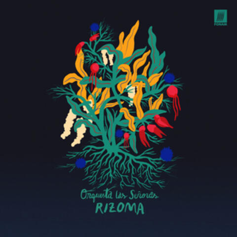 Rizoma album art