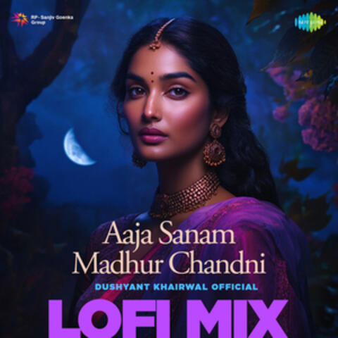 Aaja Sanam Madhur Chandni album art