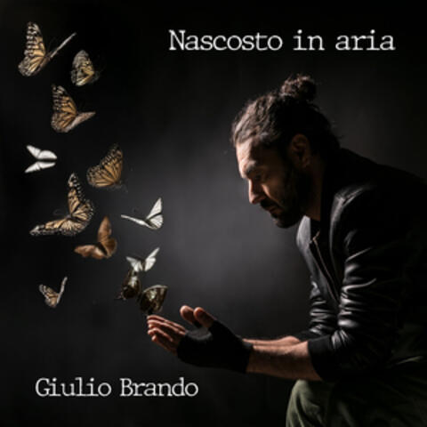 Nascosto in aria album art