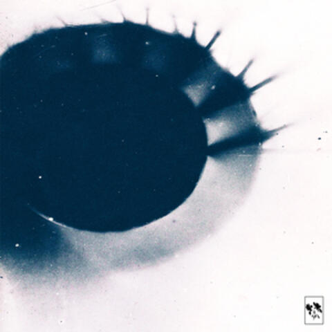 Autofiction album art