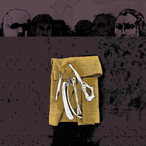 In The Paddies album art