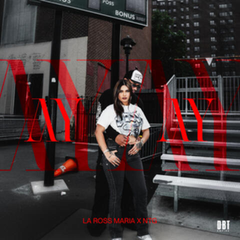 AY AY album art