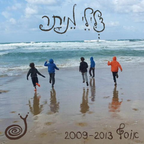 אוסף 2009-2013 album art