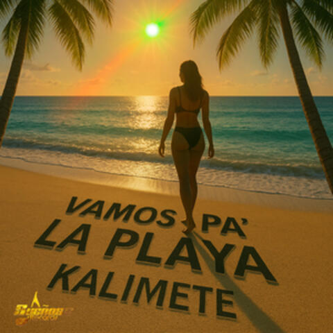 Vamos Pa La Playa album art