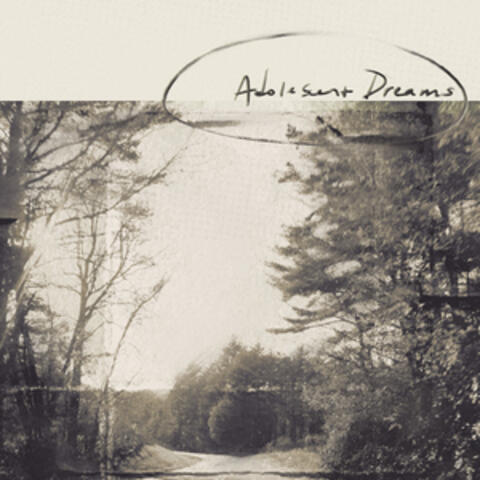 adolescent dreams album art
