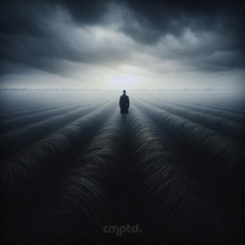 night. album art