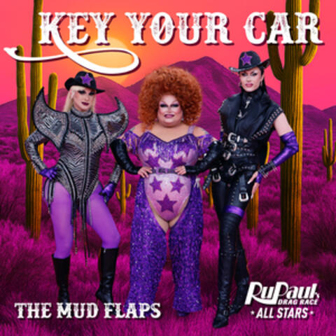 Key Your Car (The Mud Flaps) album art