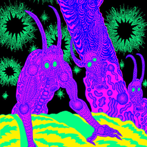 FLIGHT SIMULATOR album art