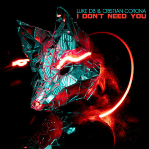 I Don't Need You album art