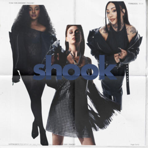 Shook album art
