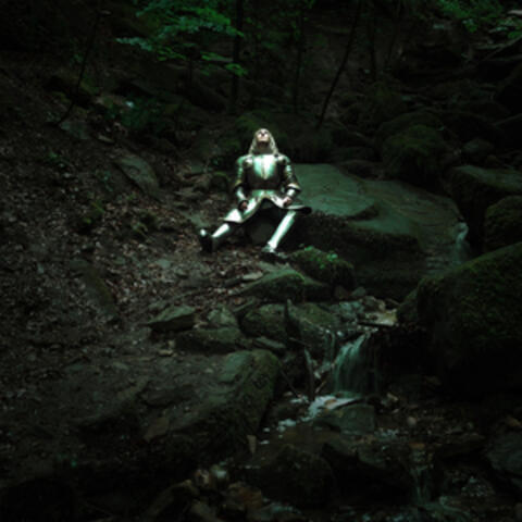 Pflugscharen zu Schwertern album art