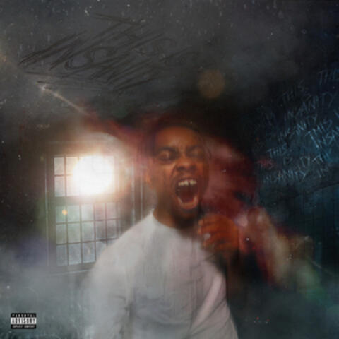 This Is Insanity Freestyle album art