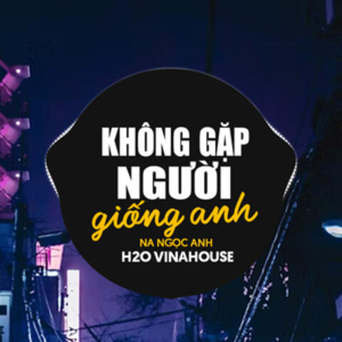 Không Gặp Người Giống Anh album art
