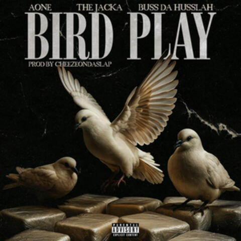 Bird Play album art