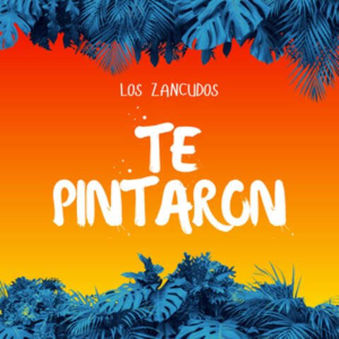 Te pintaron album art