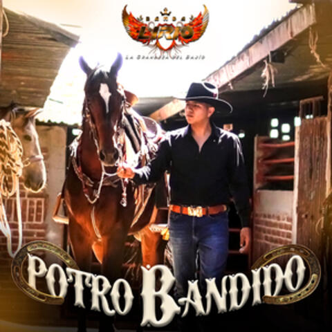 Potro Bandido album art