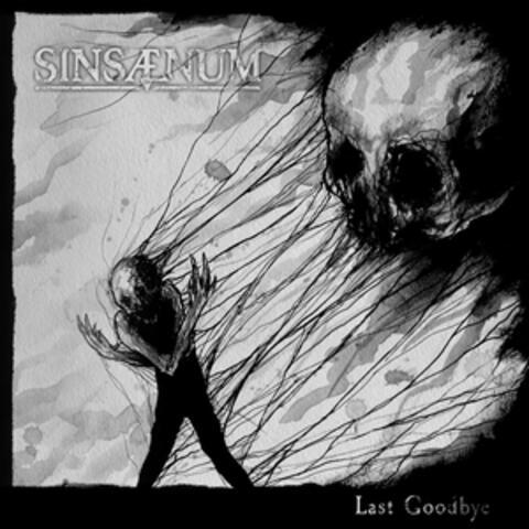 Last Goodbye album art