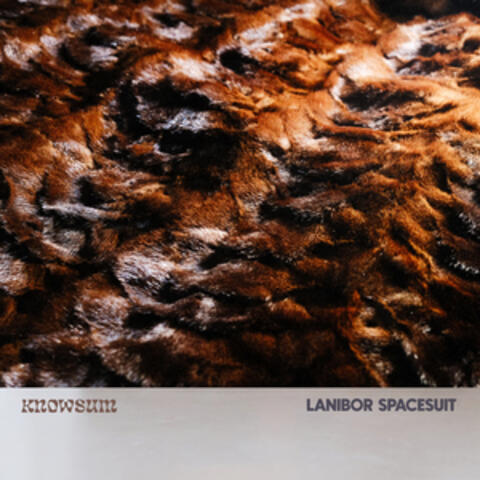 Lanibor Spacesuit album art